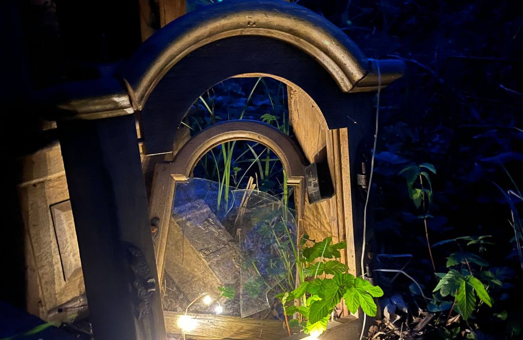 Dümmer See Ferienhaus Back To The Roots - Oase Lüttmoor 1