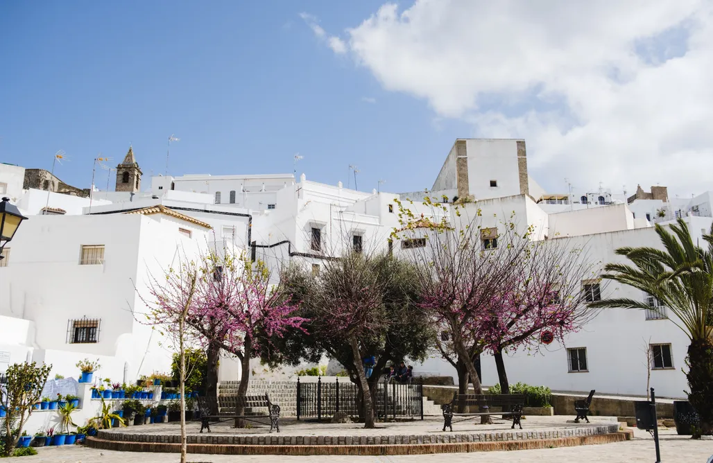 Alloggi AlohaCamp Eco Glamping La Veleta 1