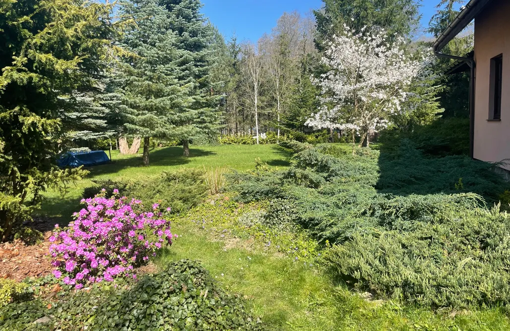 AlohaCamp Dom Bór Myśli -Myśliborka 1