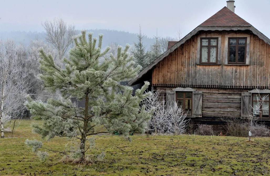 Agroturystyka Solina Chata Magoda 3