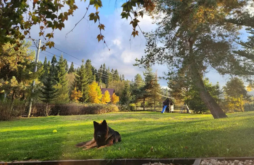 AlohaCamp Miodowa Chata 1