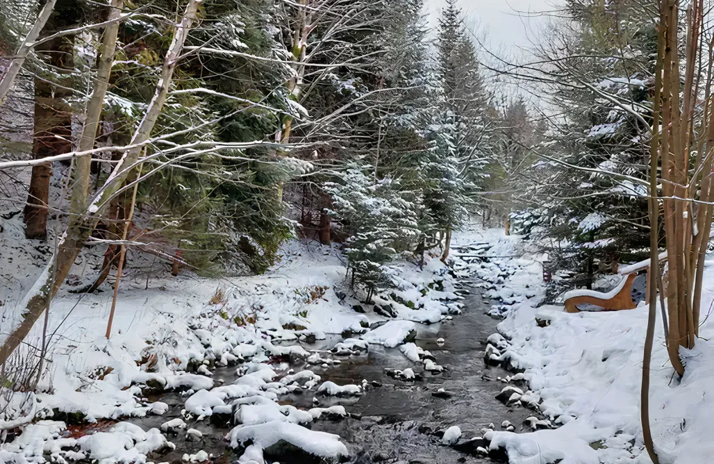 AlohaCamp Szumichatka  1