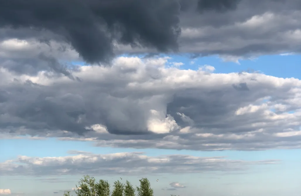 noclegi AlohaCamp Miejsce kamperowo-namiotowe - Feel free farm 1