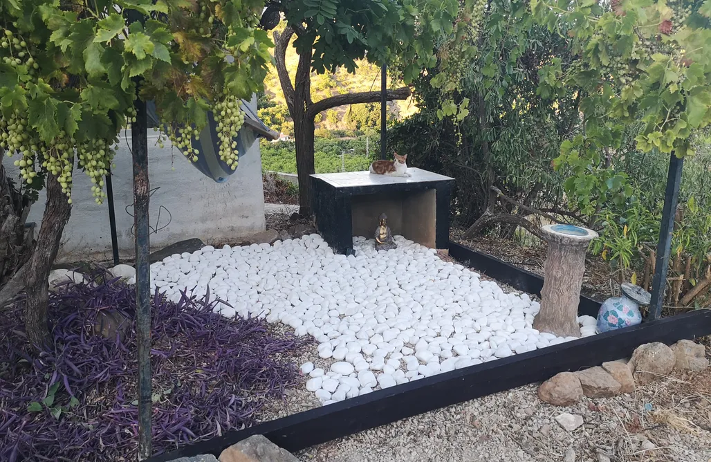 Alquiler de Casa de Campo en Mijas Baratas Magic Mountain Retreat (& relax in nature) 1