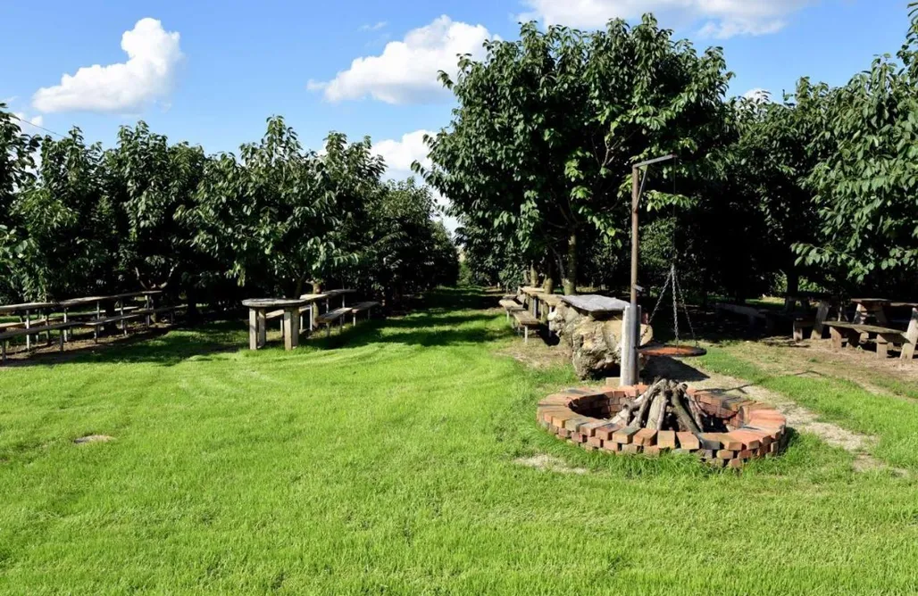 noclegi AlohaCamp Świętokrzyska Winnica Knapów 5