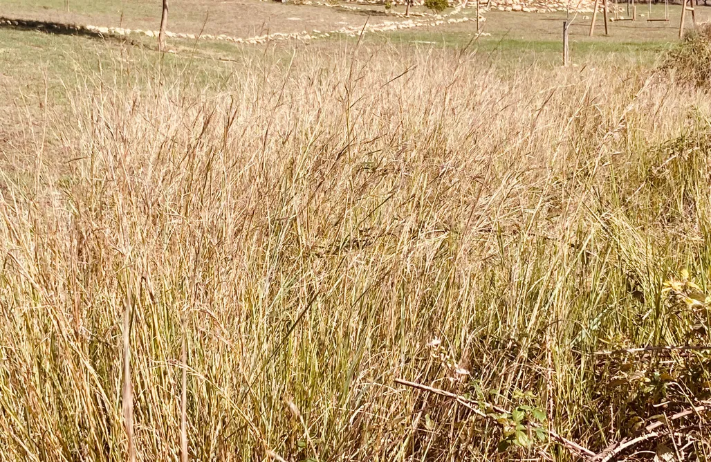 AlohaCamp Casa ecológica El Silencio 1