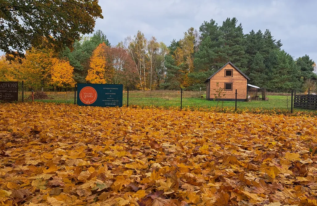 ubytovanie AlohaCamp Chatka na Wiedźmiej Górce - lawenda i werbena 5