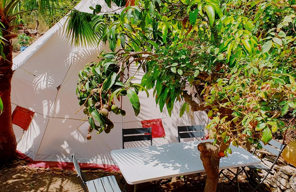 Hotel Burbuja Alicante BIO Glamping Gran Tipi eco tropical 2