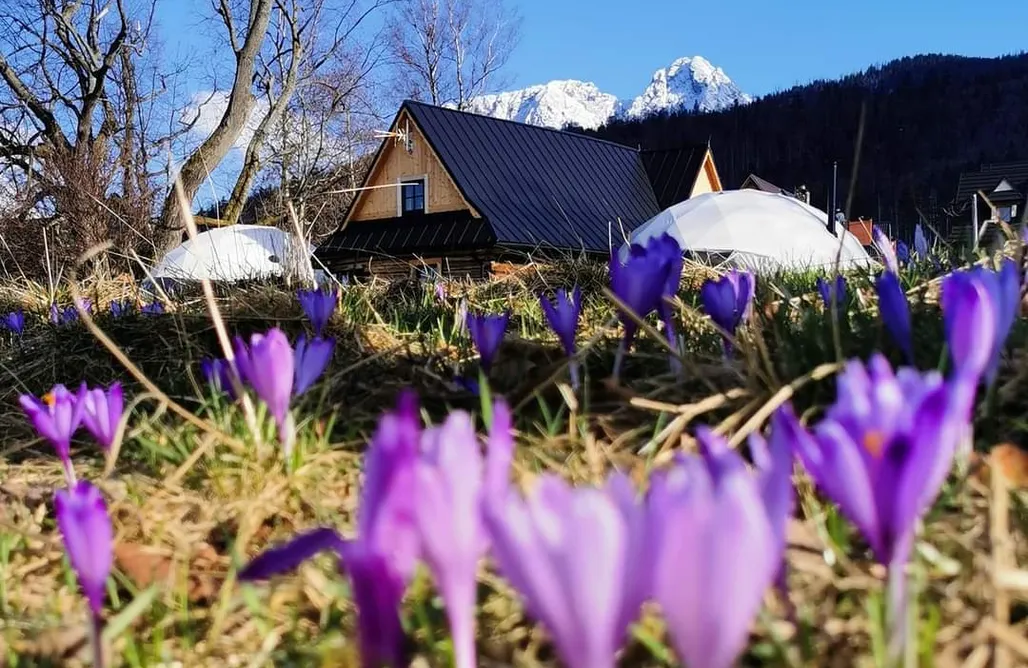 Glamping Tatry Siedlisko Kościelisko 3