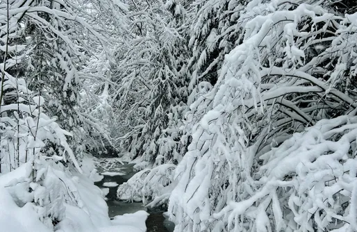 Zdjęcie obiektu Dolina Świstaka 
