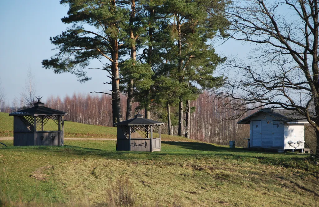 Pole Namiotowe Skorzęcin  Miejsce kamperowe i namiotowe - Szarejkowy CampGlamp 3