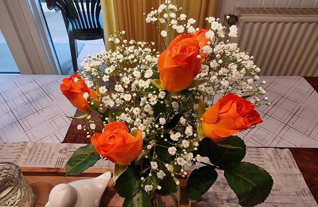 Unterkunft AlohaCamp Ferienhaus Marie 125 1