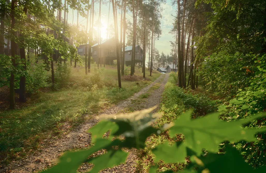 noclegi AlohaCamp Góra Spokoju Osada Klimatyczna-Leśna 3