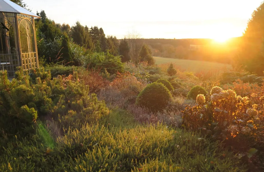 Ferienpark Harz Ferienhaus Sonne, Harz und Sterne 3