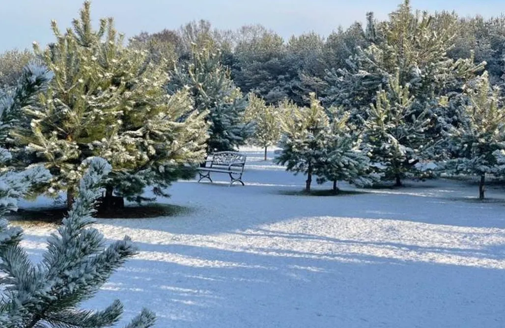 Noclegi Nad Jeziorem Lubuskie ⛵️ Chillas 1