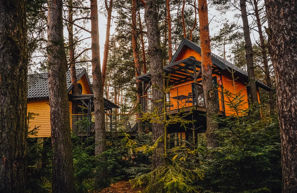 AlohaCamp Domek na drzewie 1