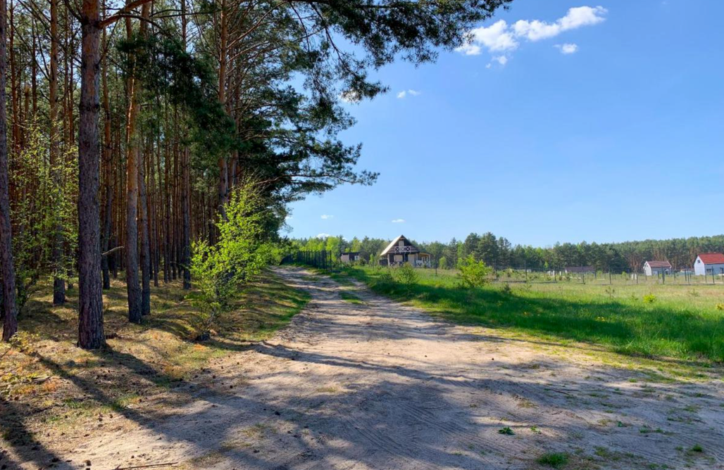 Noclegi Nad Jeziorem Lubuskie ⛵️ Domek Pod Sosnami 1