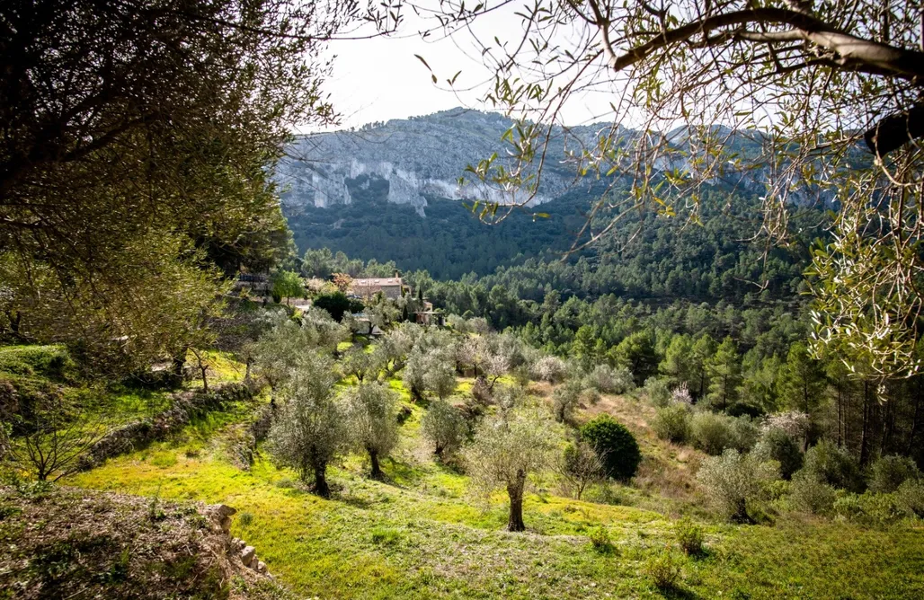 alojamientos AlohaCamp Finca SombraSol 2