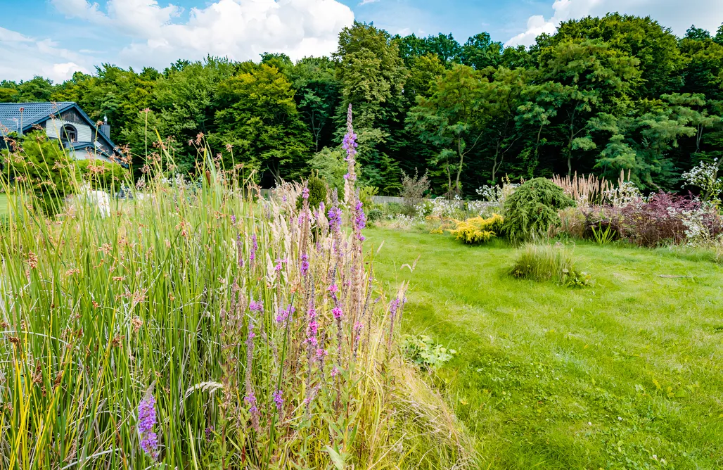 noclegi AlohaCamp Willa Jutrzenka 1