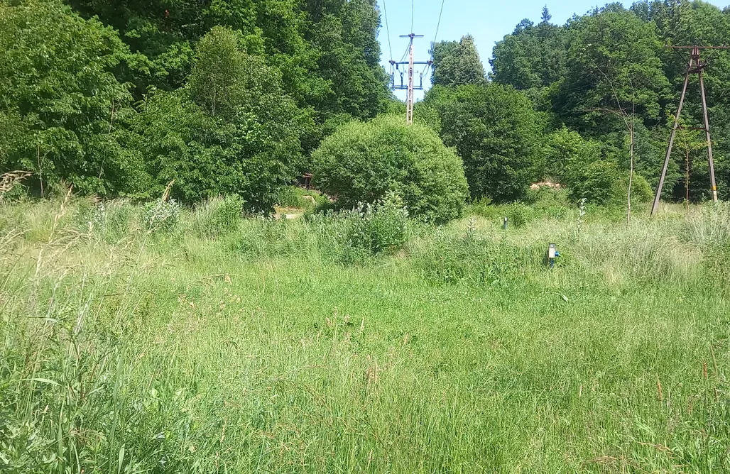 AlohaCamp Stanowisko na Kamper lub namiot z dostępem do podłączenia elektrycznego (Tent or Caravan incl Car and Electricity) 1