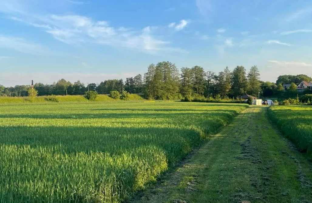 AlohaCamp Zielony Azyl w Krajence-działka na wynajem 1