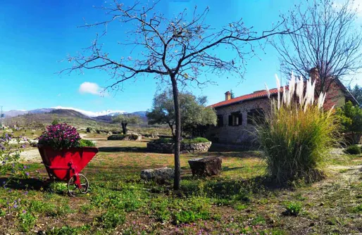 Imagen de Alojamientos rurales Pago de Yuste