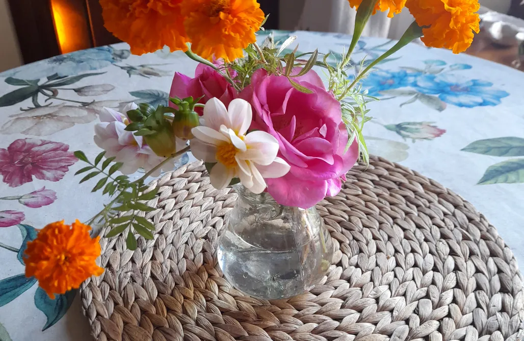 AlohaCamp Utsusabar baserria 1