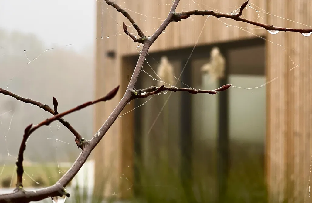 noclegi AlohaCamp Warm.ia107 - butikowy dom nad jeziorem 1