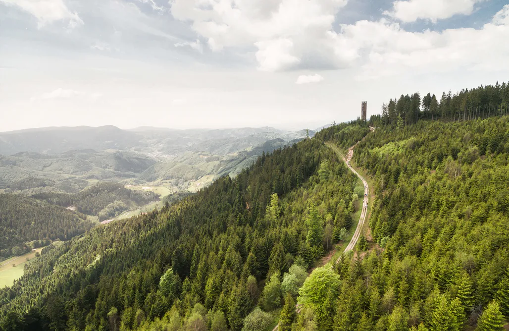 Domki Nad Jeziorem Żywieckim Domek na Polanie Green Fields  1