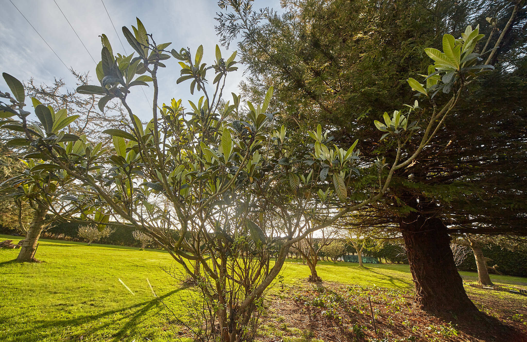 Alojamiento en Galizano Casa Otañes 1