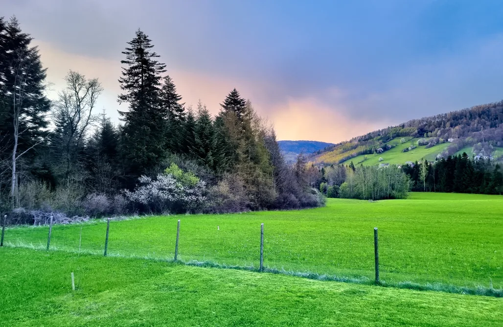 Unterkunft AlohaCamp Klimkówka pod Gwiazdami - domek z prywatnym jacuzzi 1