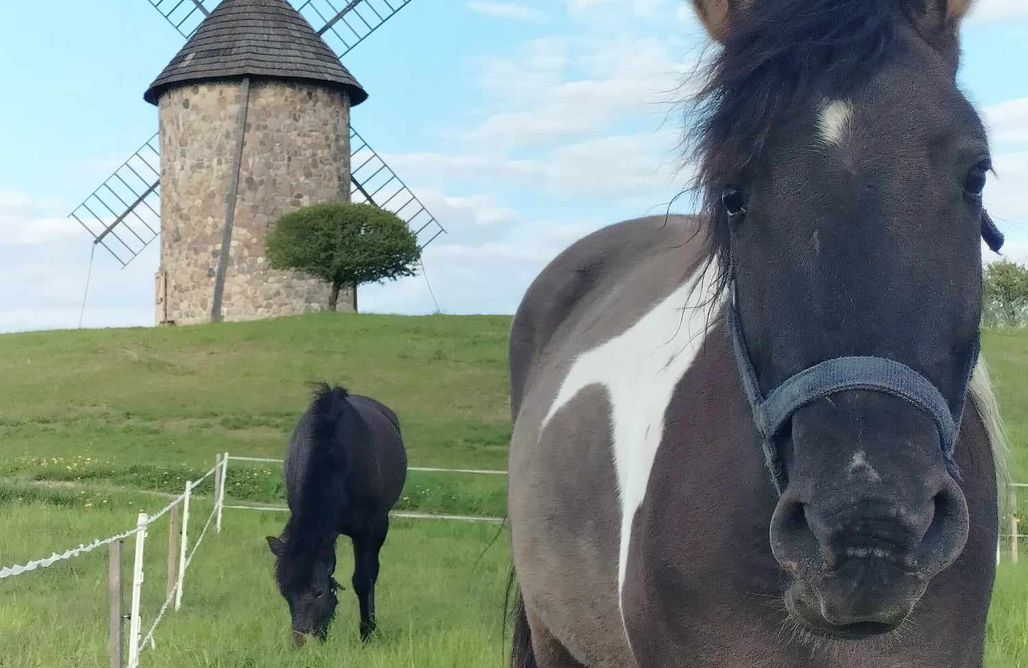 AlohaCamp Glamping Zyndaki 1