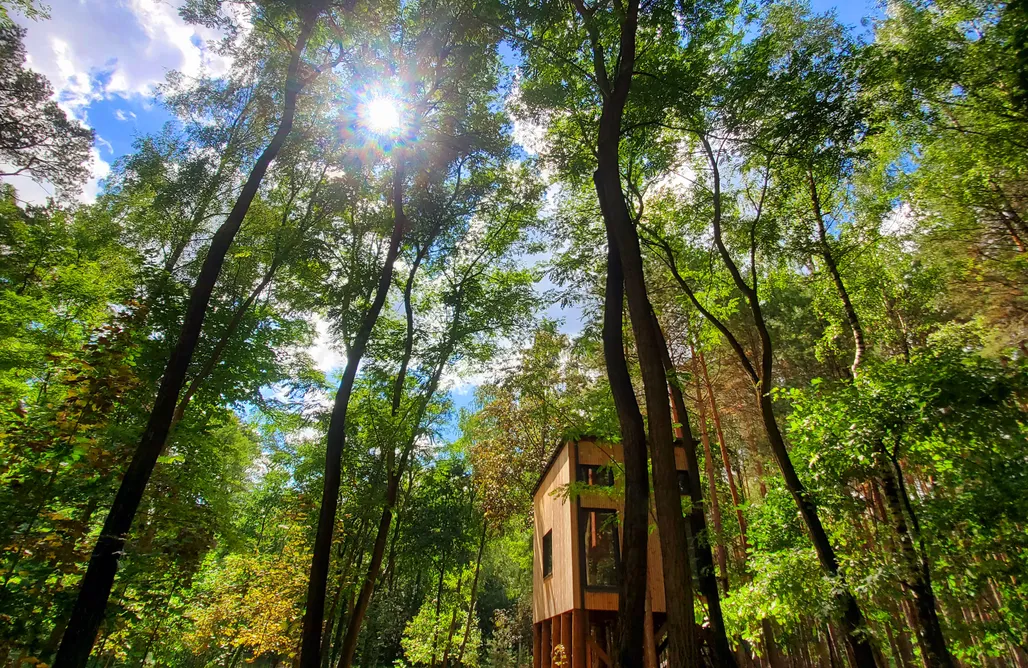 Alloggi AlohaCamp Tree Houses Olszanka 1