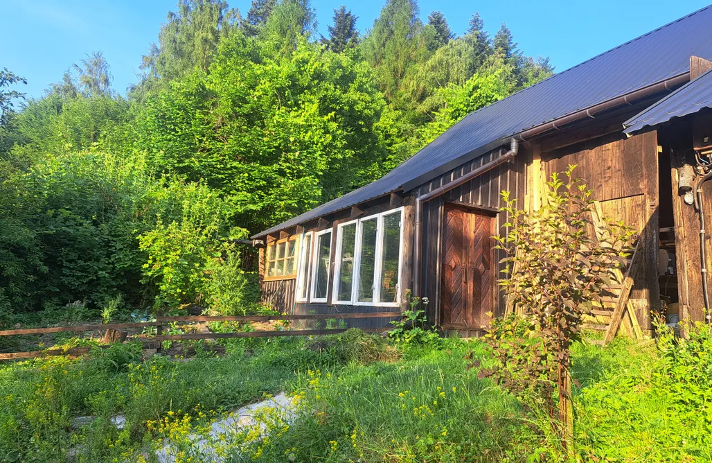 Sommerurlaub Mit Kindern Zouza Wald Rückzugsort 2