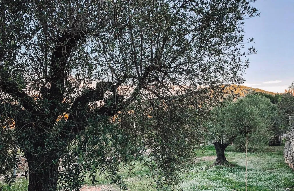 AlohaCamp Suite en el Castillo, Barcelona 1