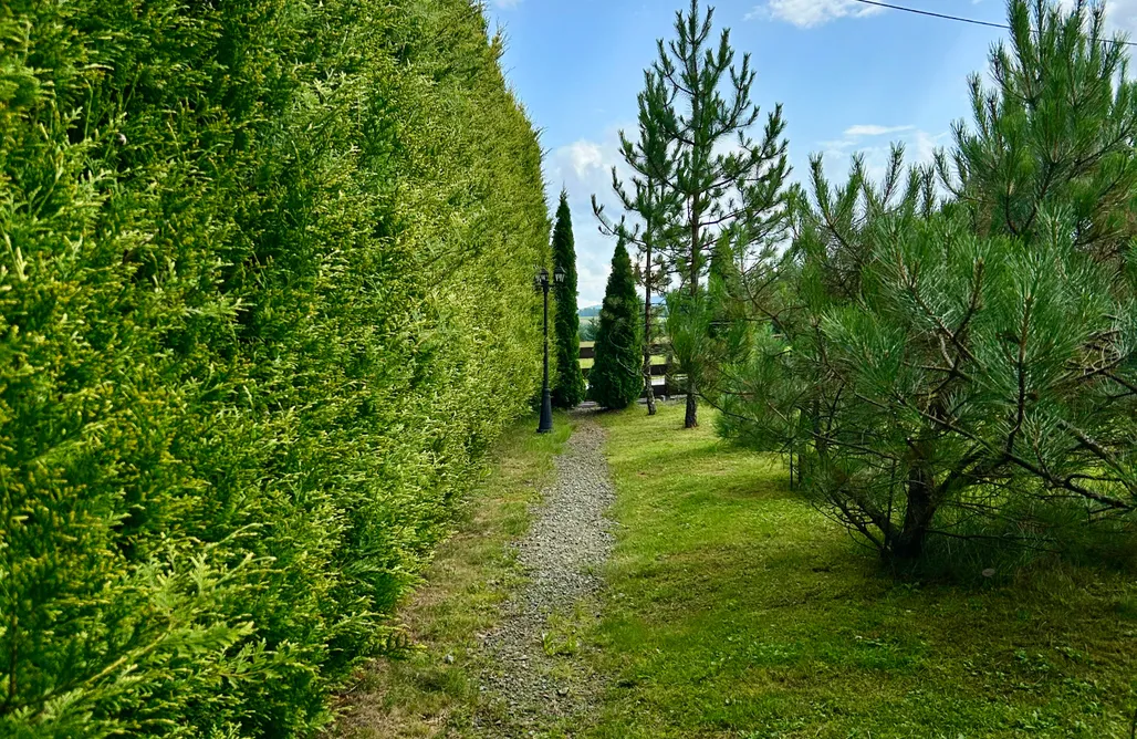 noclegi AlohaCamp Górski Azyl w Soblówce 1