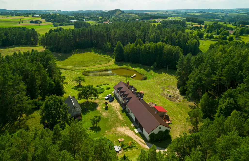 noclegi AlohaCamp Leśna dolina - domek na drzewie 1