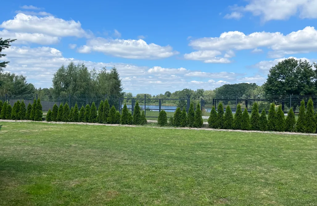 AlohaCamp Zakątek pod świerkami  1