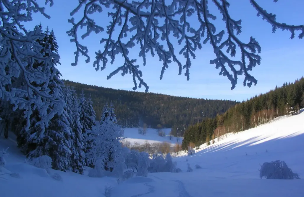 AlohaCamp Kamienny Domek 1