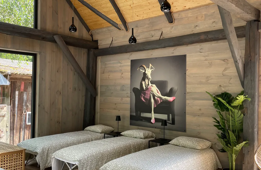 AlohaCamp Koza w baletkach 2