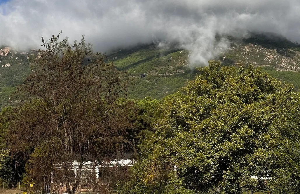 noclegi AlohaCamp Sitios para caravanas y tiendas - Avila  1