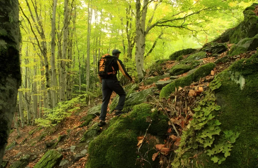 alojamientos AlohaCamp El Abejaruco 5