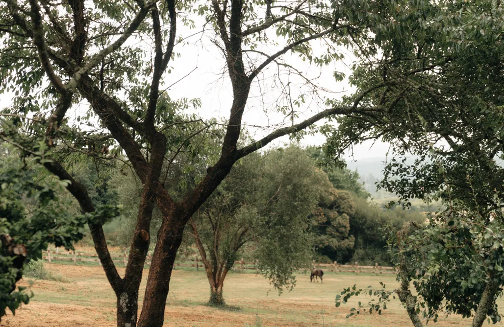 alojamientos AlohaCamp La Casa de la Pradera  5