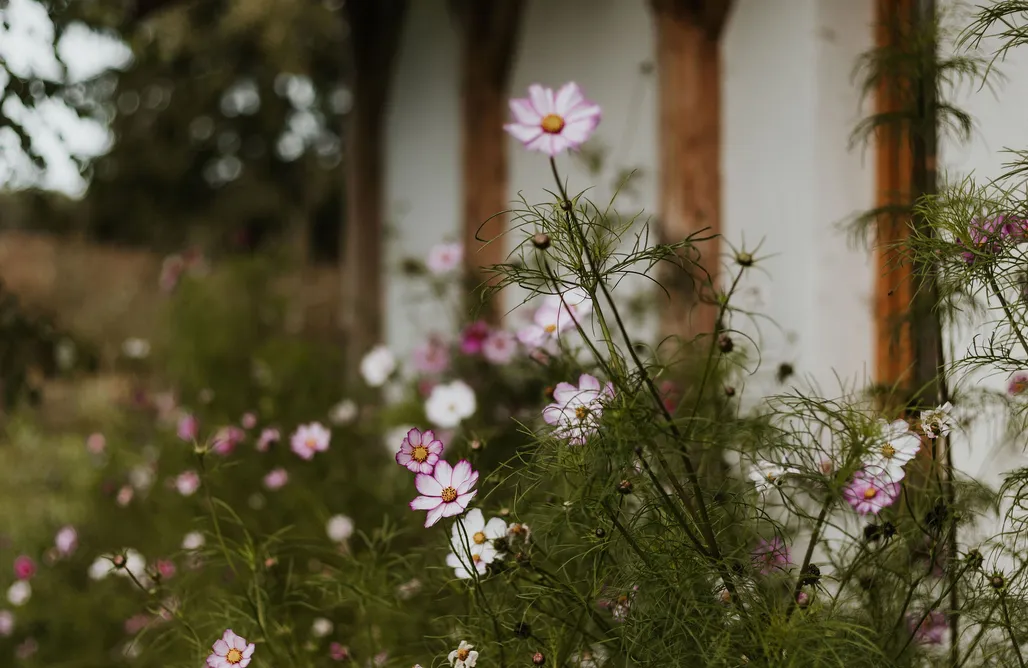 AlohaCamp Pokój 2os z pojedynczymi łóżkami 1