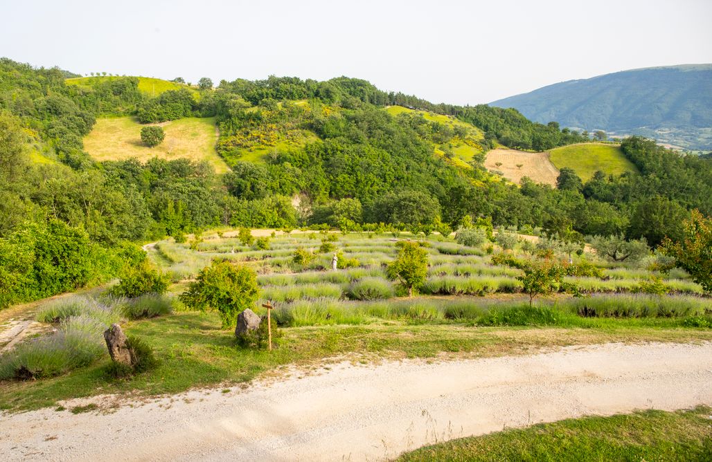 AlohaCamp Appartamento Standard - Sposa dell'imperatore 1