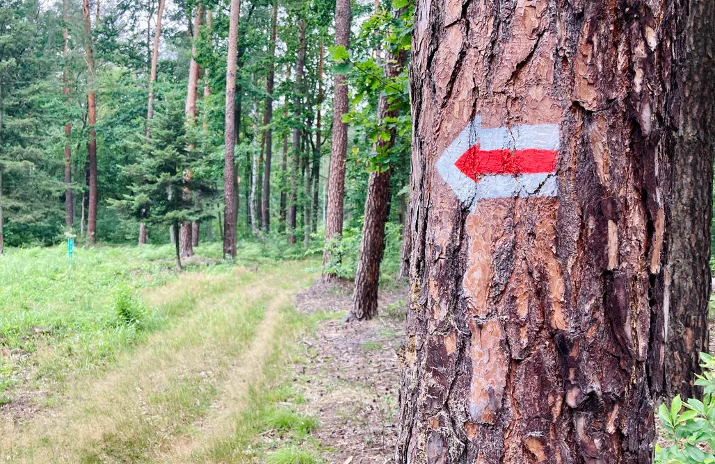 AlohaCamp Dom wakacyjny 1