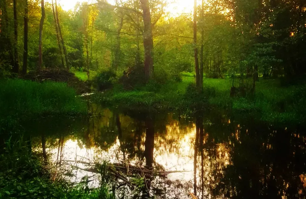 ubytovanie AlohaCamp Tiny Cottage len pre Dvoch - Agro Glamping Kozia Farma 1