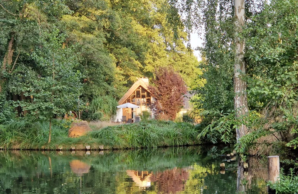Ferienhaus mit  Terrasse in der Mitte der Natur AlohaCamp