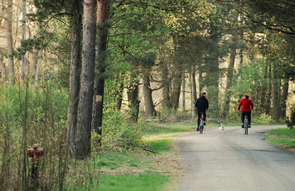 noclegi AlohaCamp Wyraj nad Pilicą 1