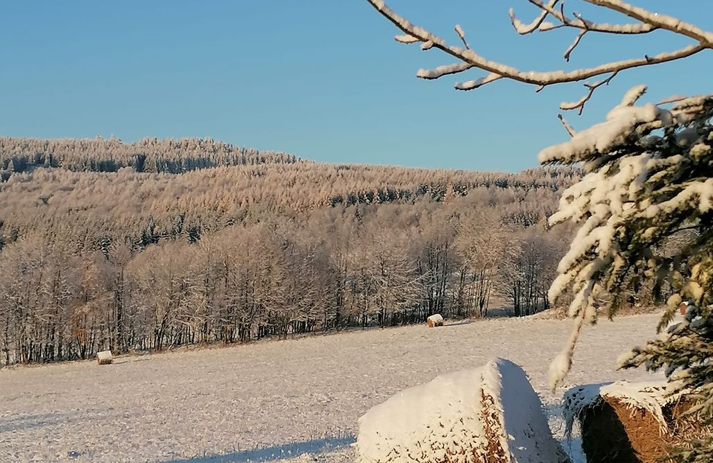 AlohaCamp Gościniec Śliwkowy Sad 1